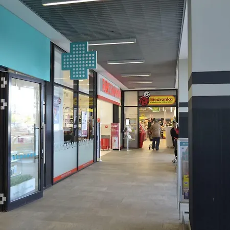 Pokoj Goscinny W Apartamencie Altus *
